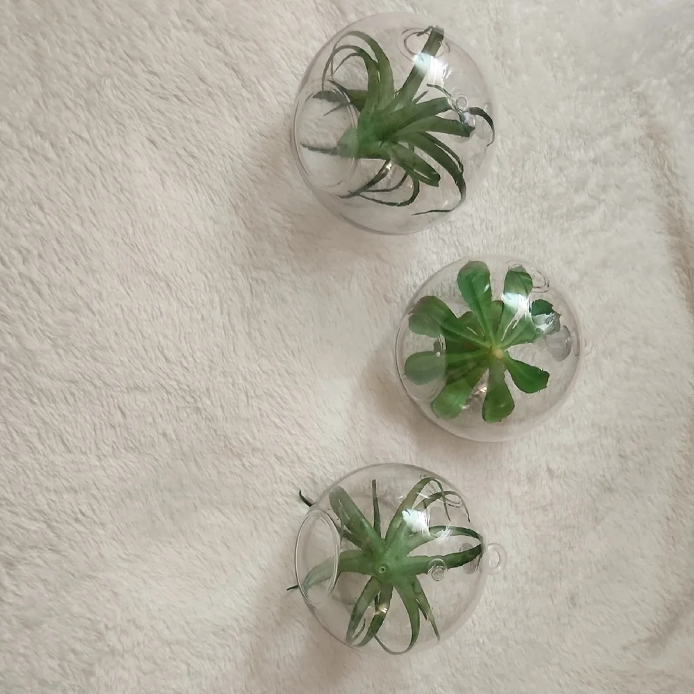 Green Succulent Glass Ornaments